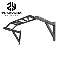 Pull Up Bar