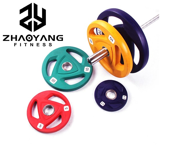 ZY4003-1 New Style Tri-grips Weight Plate