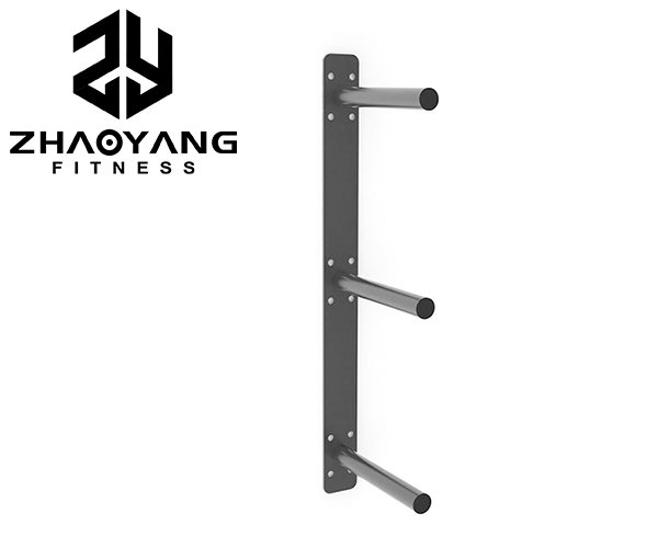 ZY4103 Wall Mounted Weight Plate Rack