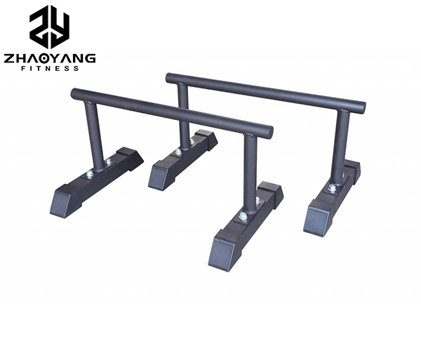 ZY7204 New Parallettes
