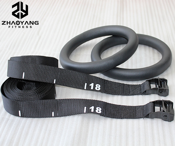 ZY7409 Iron Gym Ring